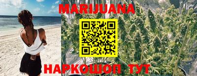молекула духа Жуковский