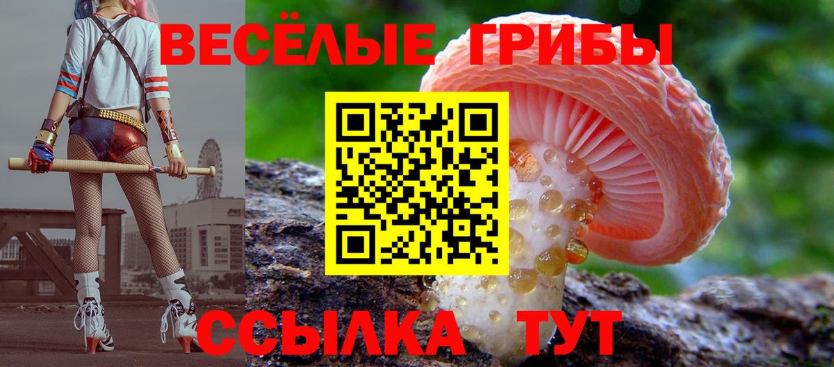 Галлюциногенные грибы GOLDEN TEACHER Когалым